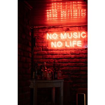 No Music No Life Neon Sign