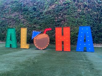 Aloha Marquee Letters Marquee Light