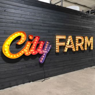Steel Marquee Letter Gradient Color City Farm High-End Custom Zinc Metal Marquee Light Marquee Sign