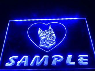 Name Pit Bull Dog House LED Neon Sign