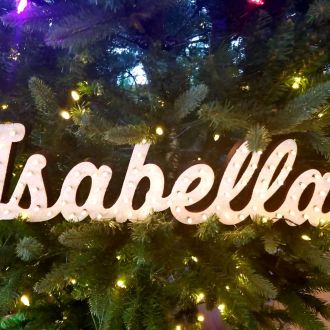 Steel Marquee Letter Name Isabella High-End Custom Zinc Metal Marquee Light Marquee Sign